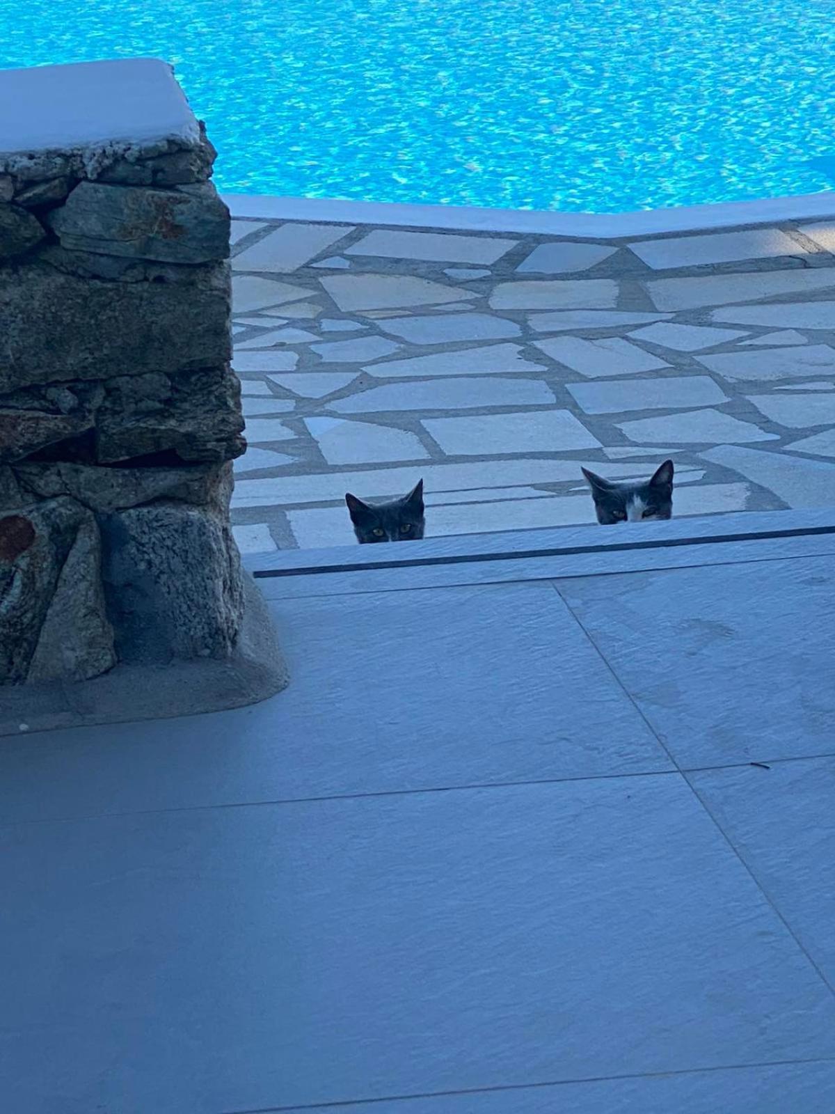 Cavo Blue Villas Elia (Mykonos) Exterior foto